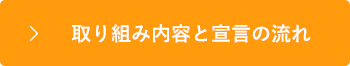 取り組み内容と宣言の流れ