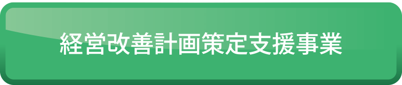 経営改善計画策定支援事業