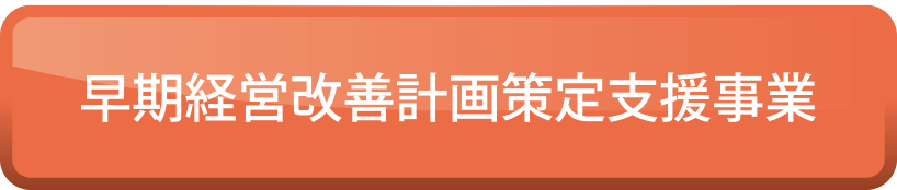 早期経営改善計画策定支援事業