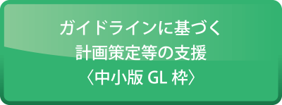 ガイドラインに基づく計画策定等の支援〈中小版GL枠〉