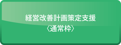 経営改善計画策定支援〈通常枠〉