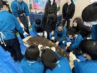 出張お仕事体験会